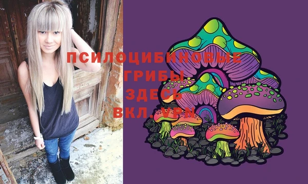хмурый Верхний Тагил