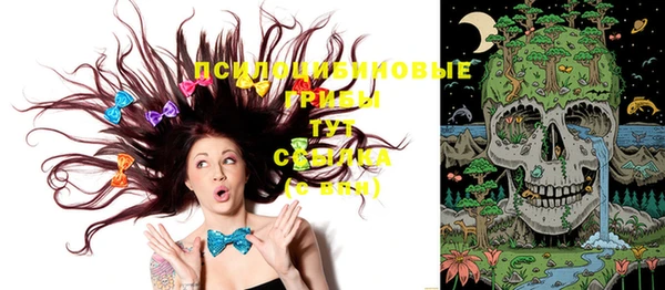 стаф Верхнеуральск